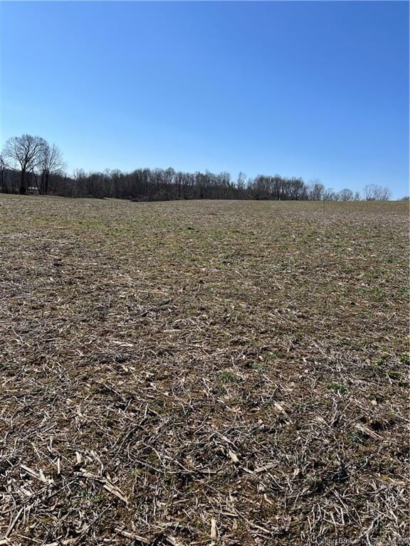 0 Coffman Rd, Wood Township, IN 47106 - photo 4