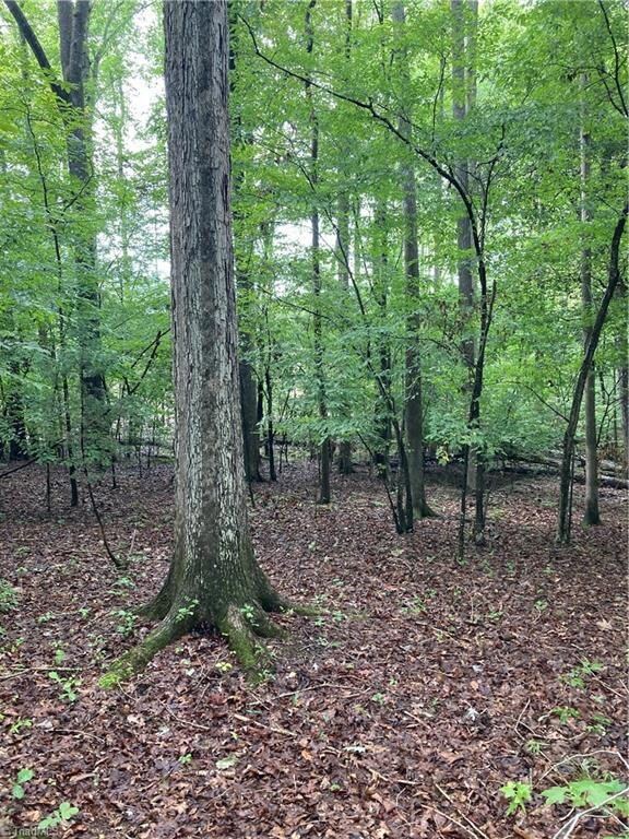 1405 Mack Rd, Asheboro, NC 27205 - photo 5