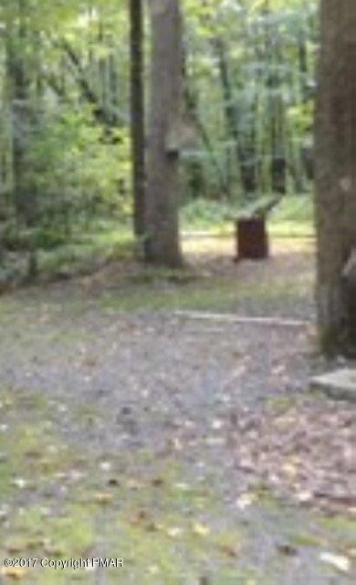 321 Lizzie Ln, Cresco, PA 18326 - photo 6