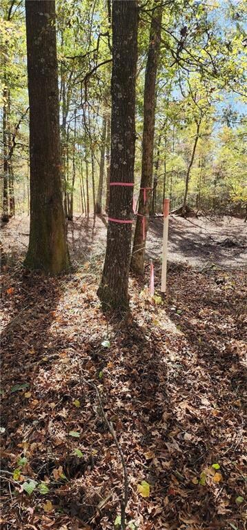 0 Highway 411 SE unit 7692418, Rome, GA 30161 - photo 4