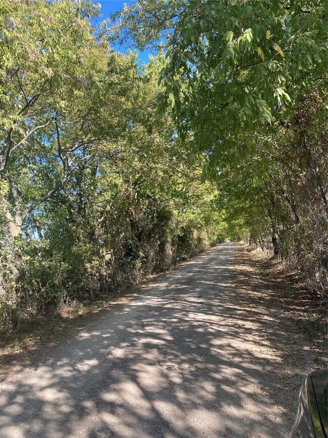 Lot 4 County Rd 4045, Ector, TX 75439 - photo 4