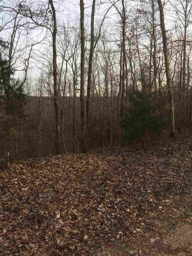 00 Hurricane Creek Rd, Linden, TN 37096 - photo 4