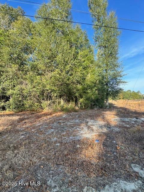 0 Garland Hwy unit 100544855, Garland, NC 28441 - photo 5