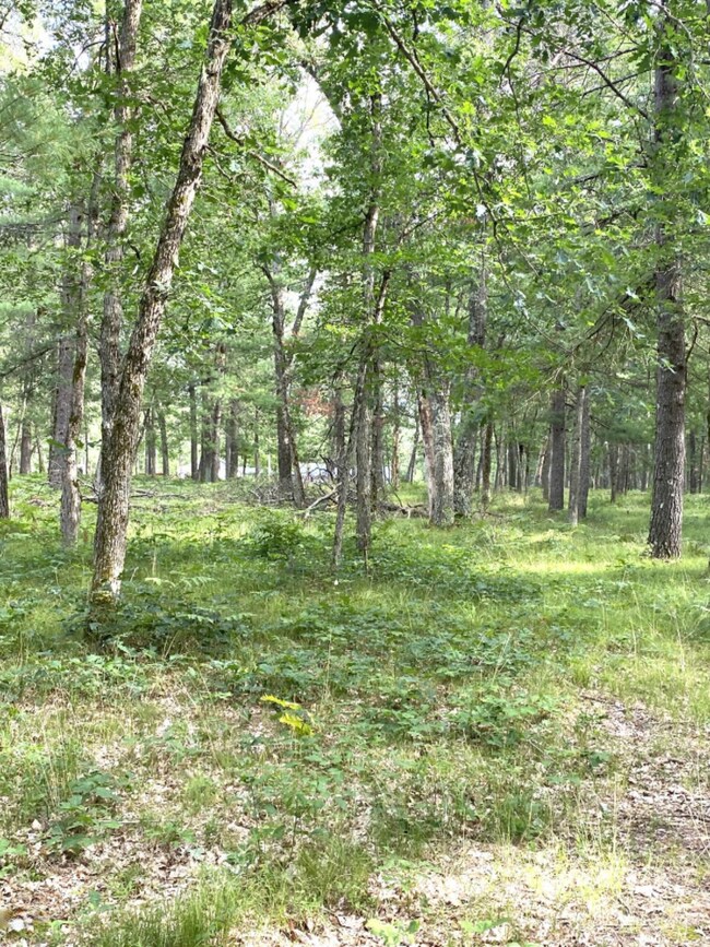 4298 W 8th St, Baldwin, MI 49304 - photo 3