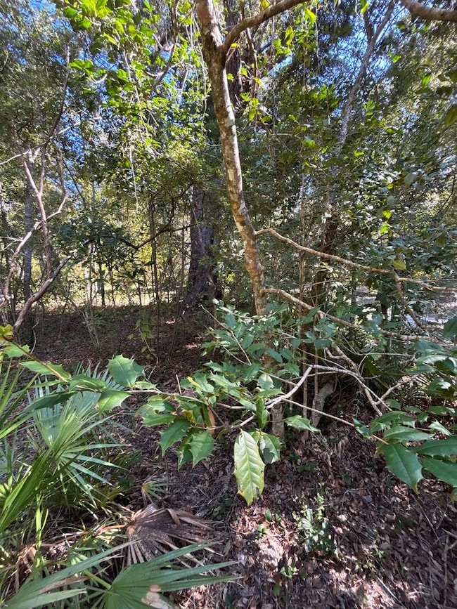 Lot 2 SE 843rd St, Old Town, FL 32680 - photo 6