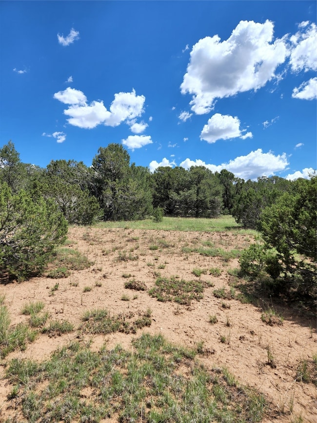 XXXX Brannon Loop, Tijeras, NM 87059 - photo 4