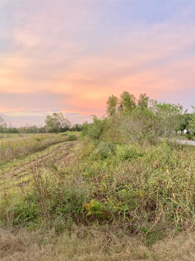 000 County Road 38, Alvin, TX 77511 - photo 2