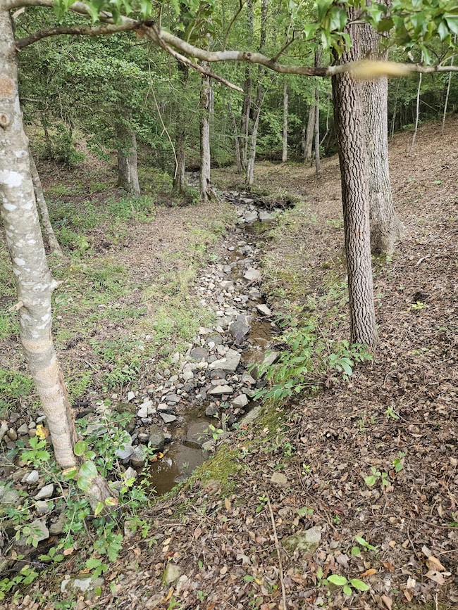 25 Creekview Ln, Altamont, TN 37301 - photo 7