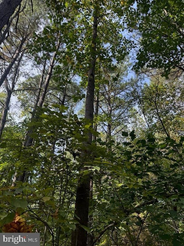 2550 Redbud Ln, Owings, MD 20736 - photo 5