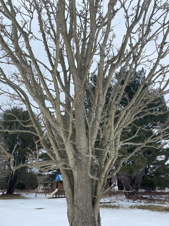 9 Anawan St, Rehoboth, MA 02769 - photo 6