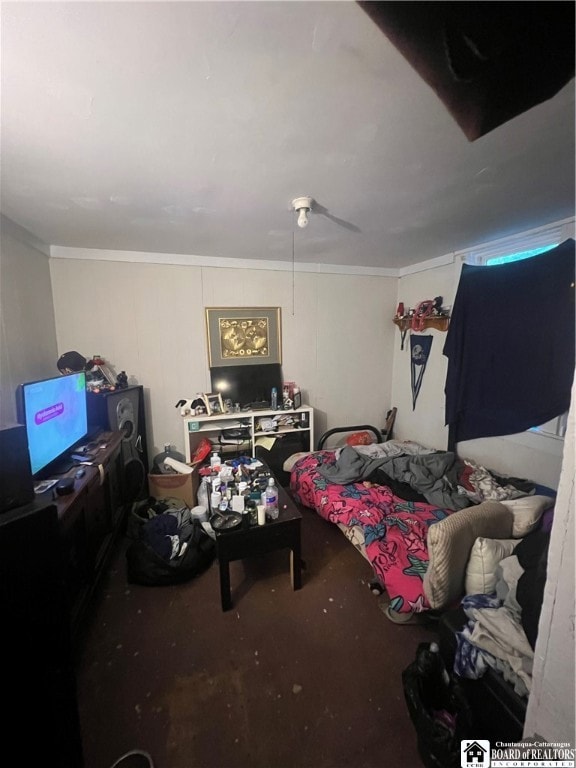 Basement Bedroom