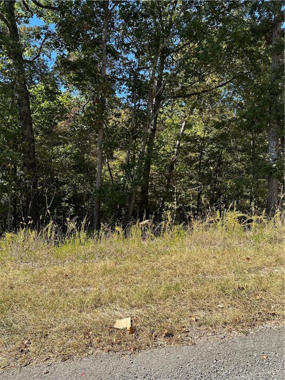 0 Pickering Dr unit 1230504, Bella Vista, AR 72714 - photo 2