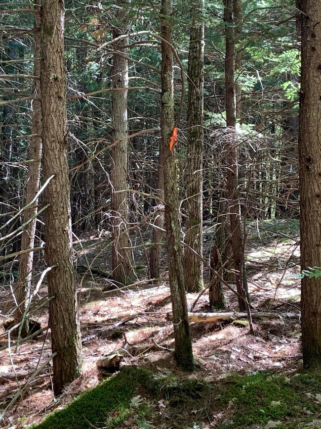 0 Clarks Bridge Rd unit 1469372, Waterboro, ME 04061 - photo 2