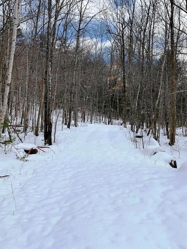 Lot 10 Tamarack Trail, Camden, ME 04843 - photo 2