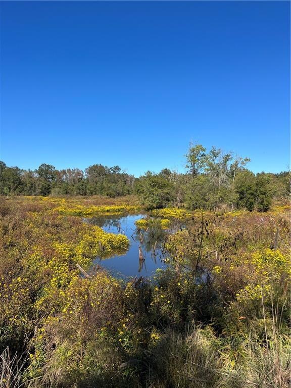 19173 Plank Rd, Baker, LA 70714 - photo 5