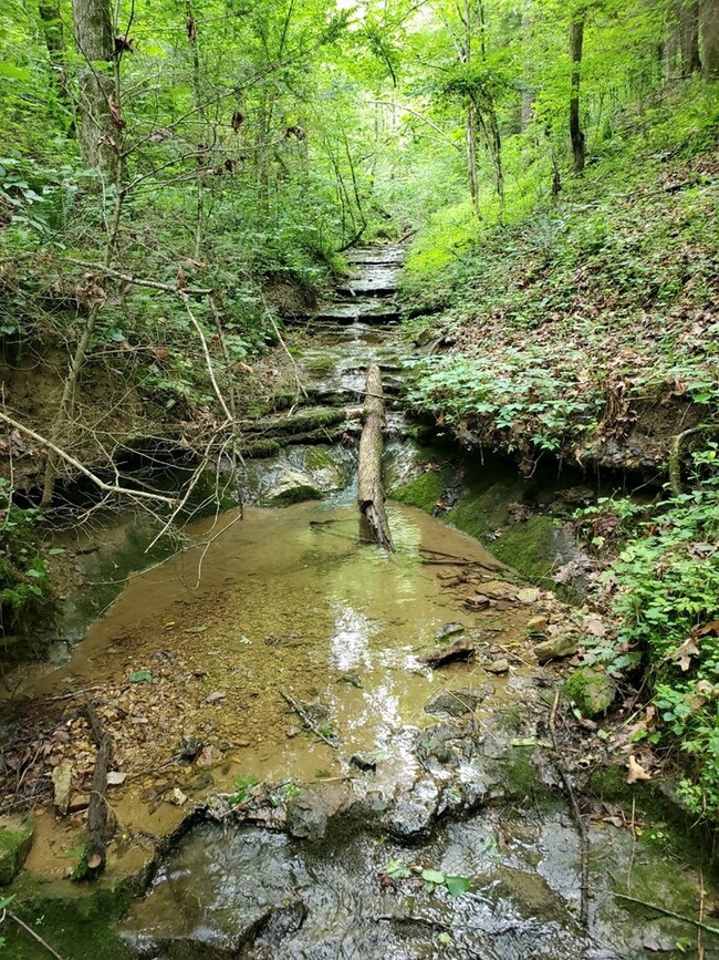 7.86 ac Waterloo Rd, Cookeville, TN 38506 - photo 2