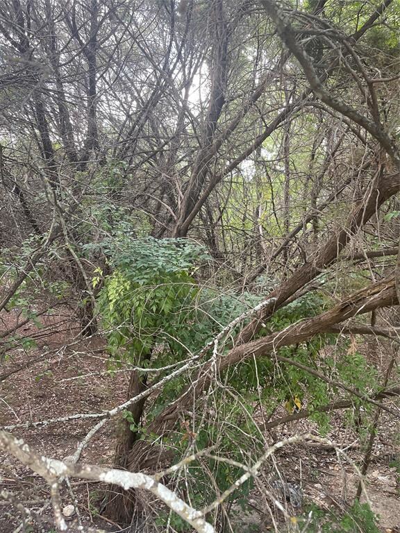 TBD Bronco Ln, Weatherford, TX 76087 - photo 3