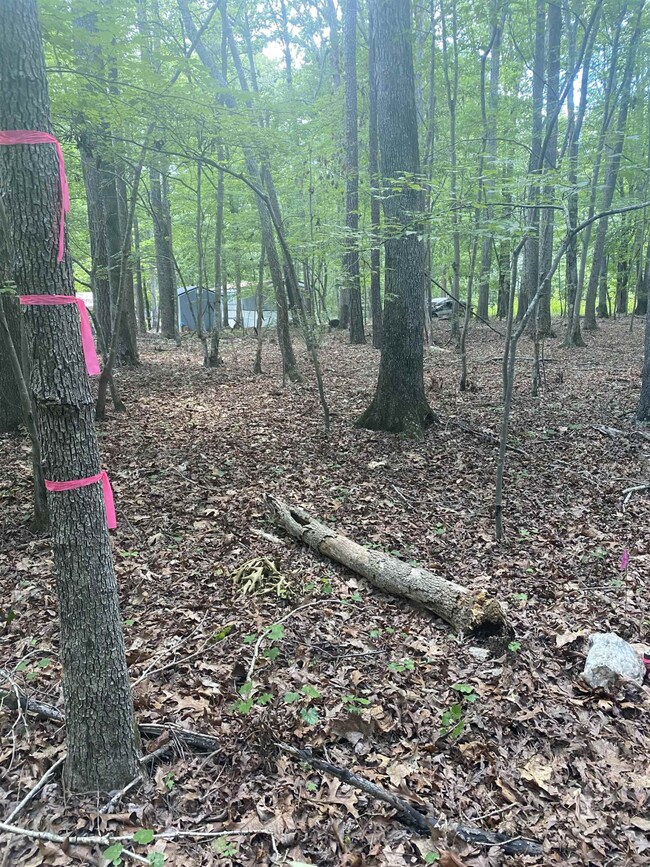 00 Dark Oaks Dr, Pittsboro, NC 27312 - photo 7