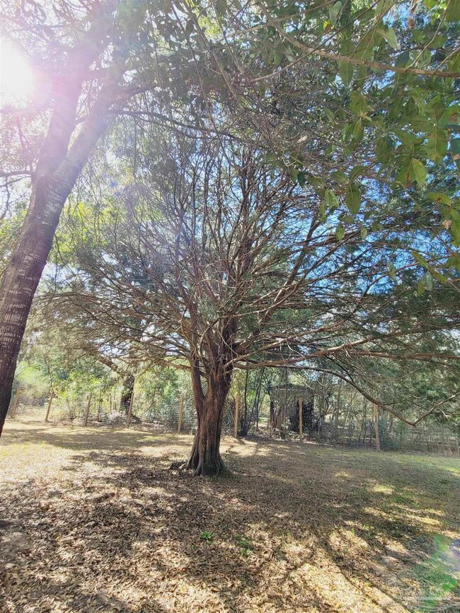 2740 Vandorn Ln, Pensacola, FL 32534 - photo 7