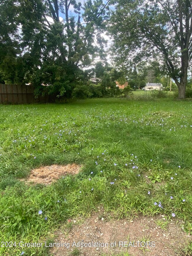 1115 Boynton Dr, Lansing, MI 48917 - photo 2