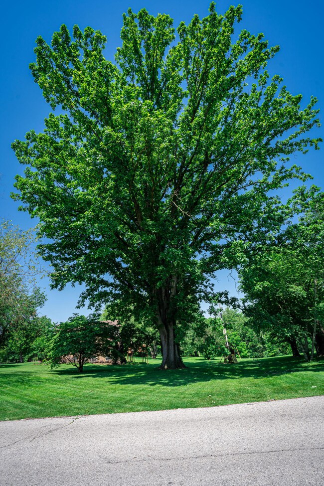 811 Springhill Ln, Frankfort, KY 40601 - photo 6