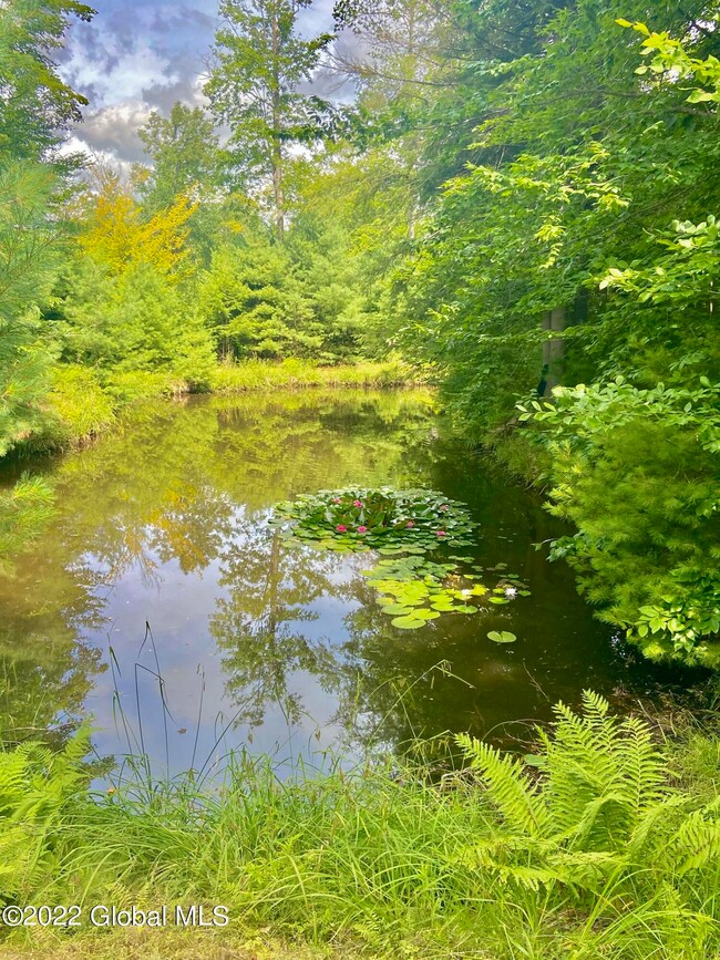 172 Horse Hill Rd, Hadley, NY 12835 - photo 7