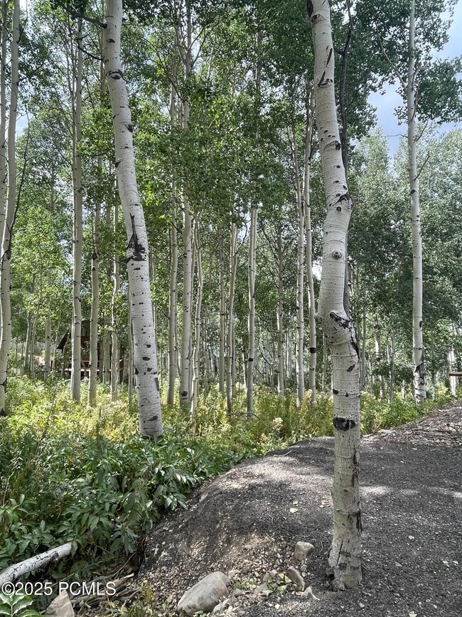 11485 E Violet Way unit 1845, Heber City, UT 84032 - photo 3