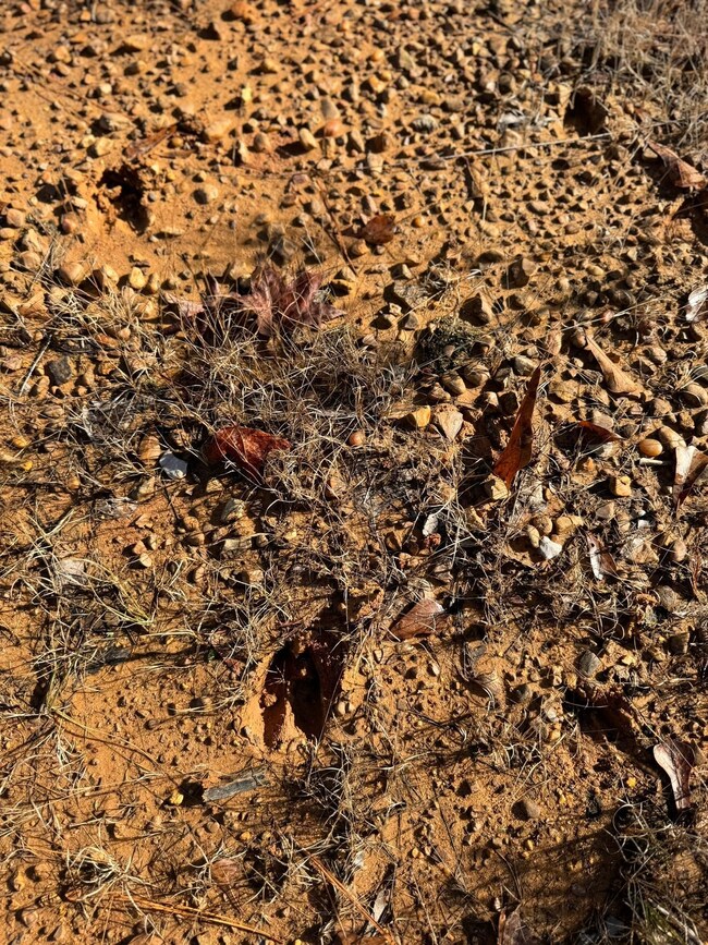 County Road 25, Reform, AL 35481 - photo 5