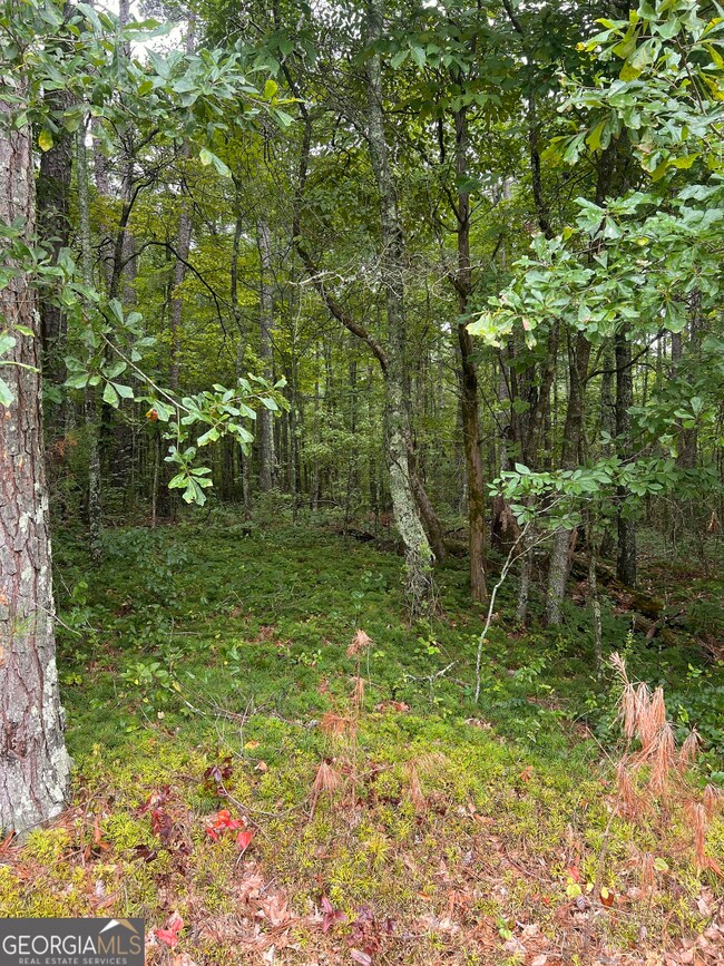 31 AC Lamb Rd, Moreland, GA 30259 - photo 6