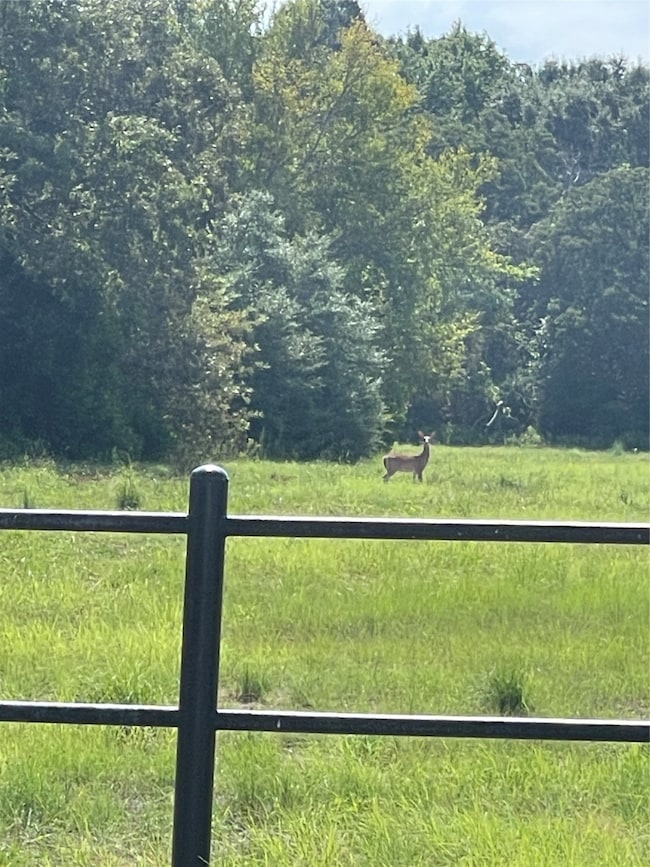 Tract 1 US Highway 175 W, Athens, TX 75751 - photo 2