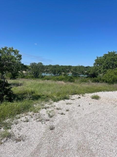 View of nature