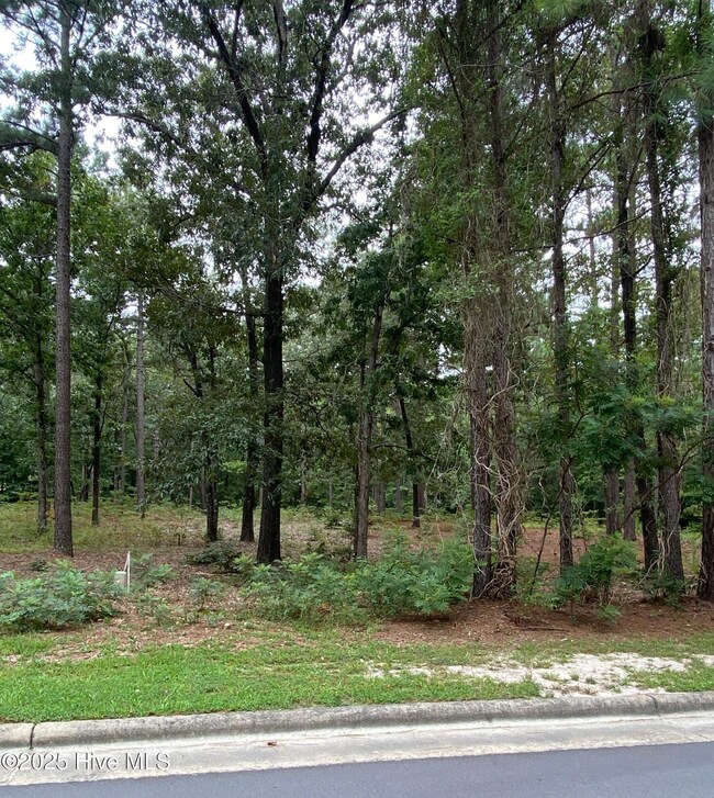 231 Meyer Farm Dr, Pinehurst, NC 28374 - photo 7