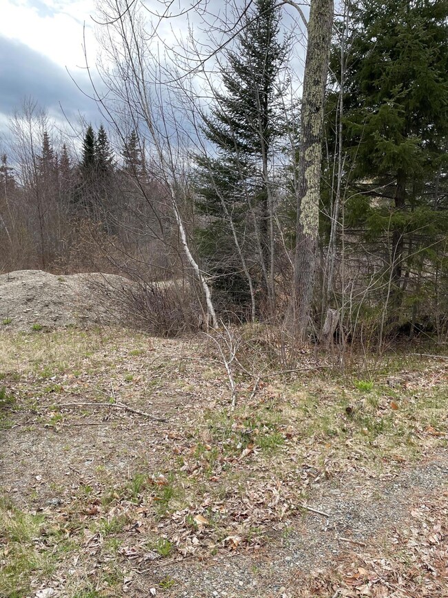 DELANO LOOP PHOTO 2