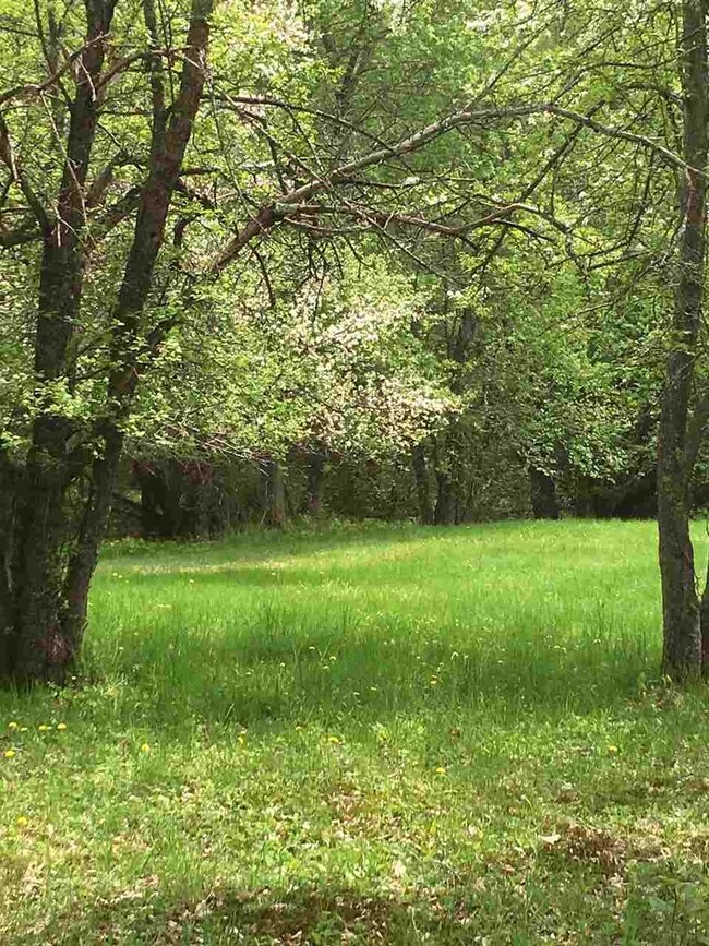 0 Cotton Mountain Rd unit Lot 2, Wolfeboro, NH 03894 - photo 5