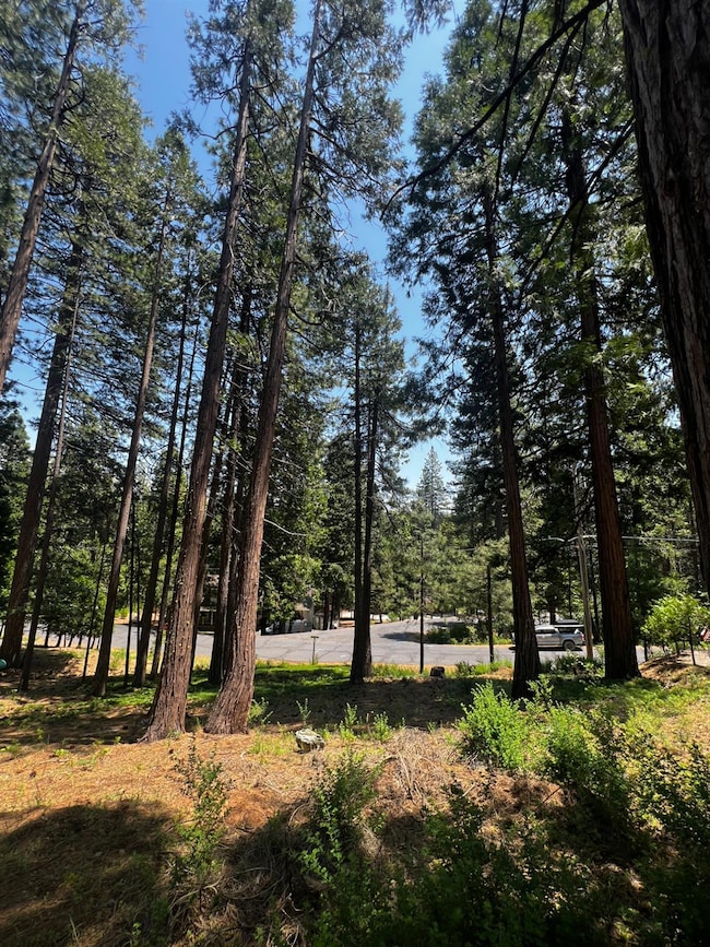 2904 Venado Dr, Arnold, CA 95223 - photo 4