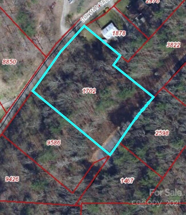 59 Forest Spring Dr unit 20A, Asheville, NC 28804 - photo 2