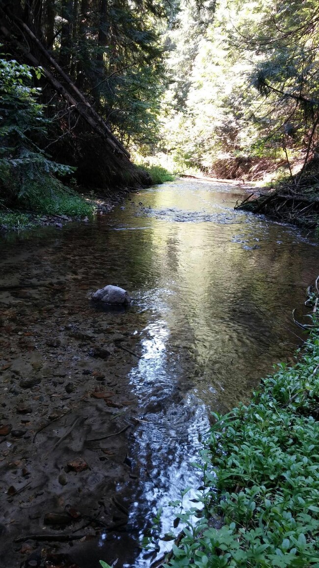 ROLLING STREAM