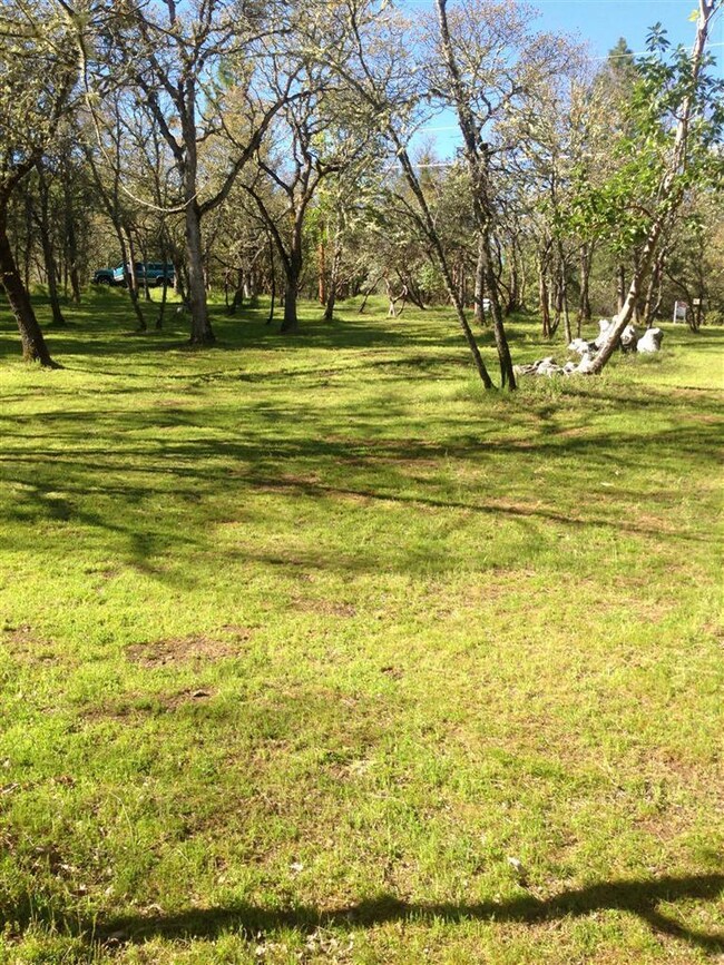 215 Morton Way, Jacksonville, OR 97530 - photo 4