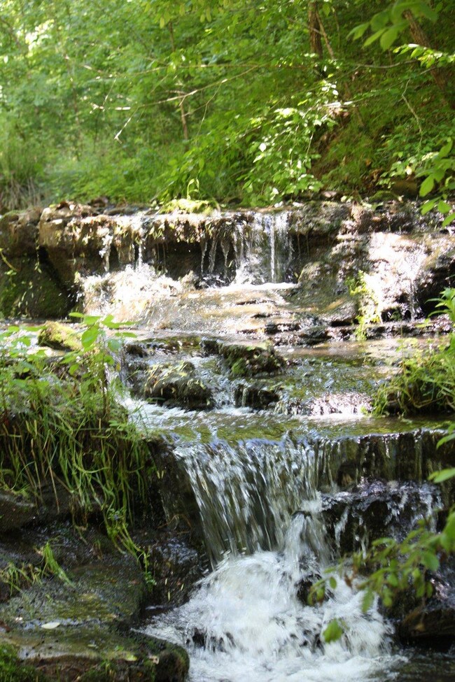 Water! The farm has a stream that ponds and has a small waterfall at the back of the property.