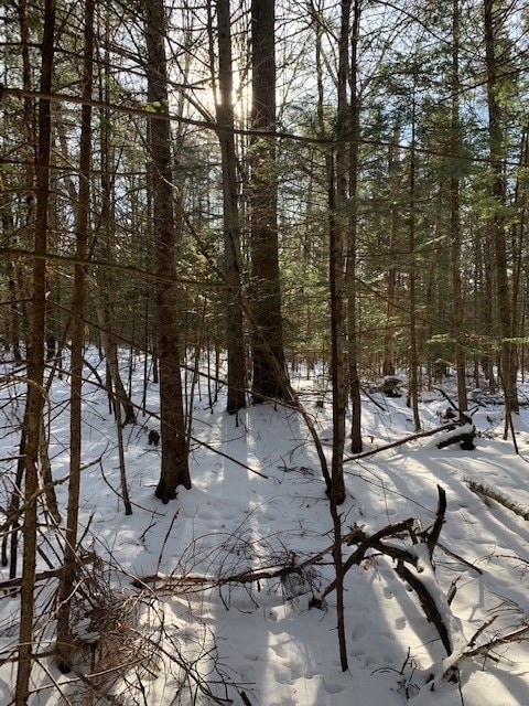 LOT 4 Lyman Rd, Lyman, NH 03585 - photo 7