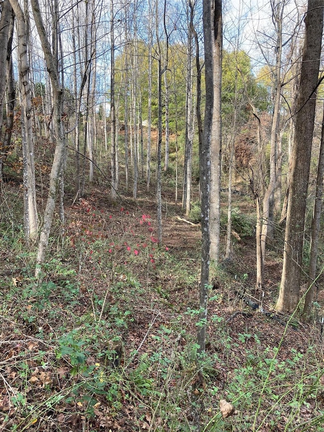 1638 Continental Divide Dr unit 2, Flat Rock, NC 28731 - photo 5