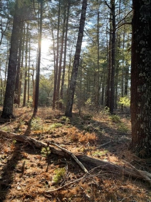 0 Tobia Way unit 73156456, Wareham, MA 02571 - photo 7