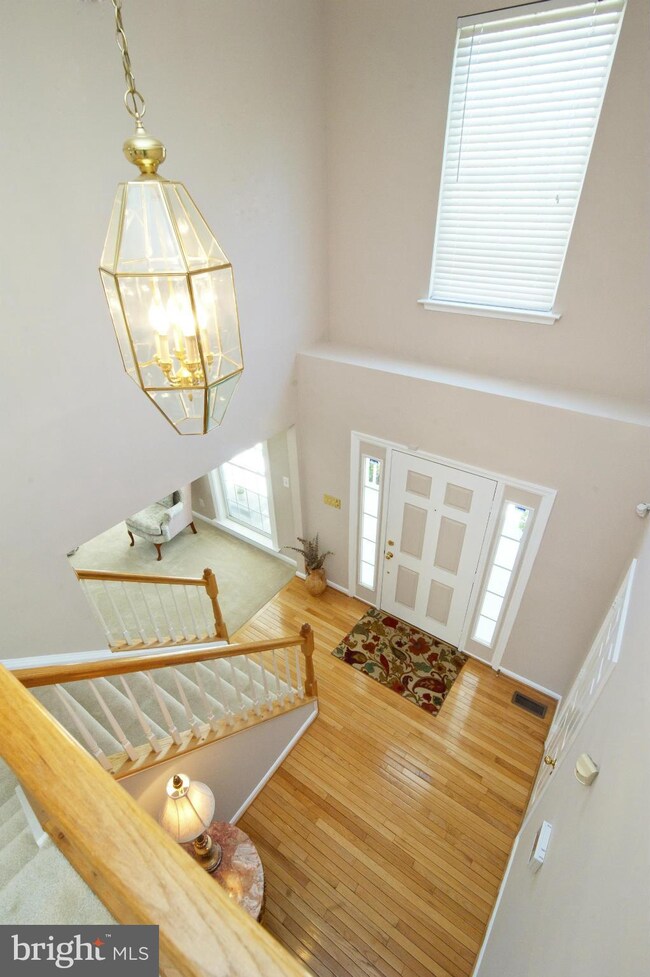 3 New Brunswick Ct, Stafford, VA 22554 - photo 7