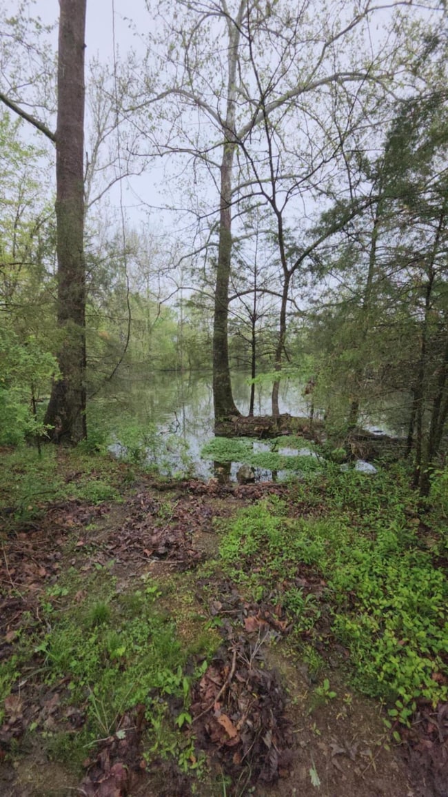 000 Wolfe, Mountain Grove, MO 65711 - photo 5