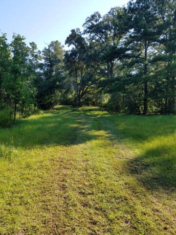 36 Clifton Seal Rd, Picayune, MS 39466 - photo 7