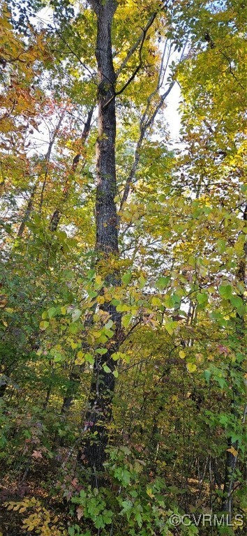 View of nature