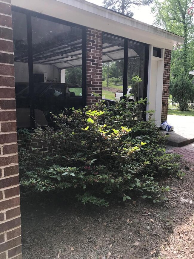 Additional Photo
