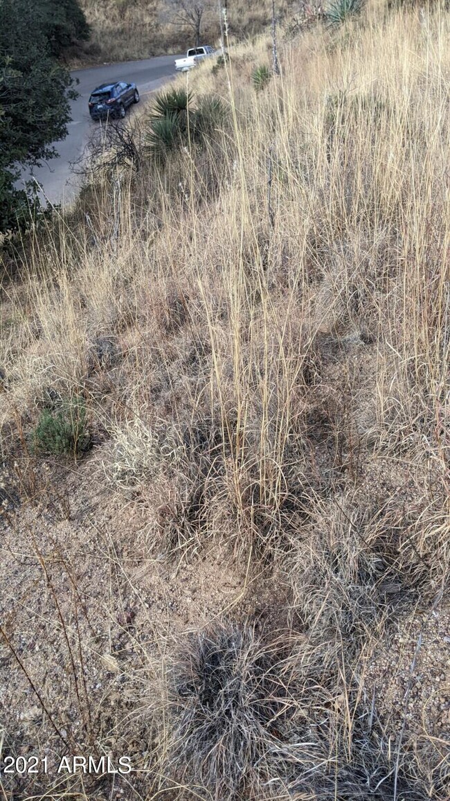 TBD Locklin Ave unit 43, Bisbee, AZ 85603 - photo 5