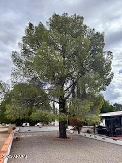 91 E Los Mangos, Green Valley, AZ 85614 - photo 5