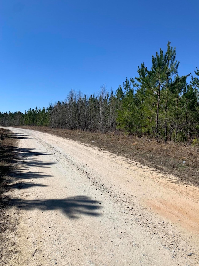 0 Moton Moore Rd unit 542111, McCormick, SC 29835 - photo 2